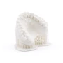 HARZ Labs Dental Model Bone Resin - Modell műgyanta [Csont színű] - 1 kg