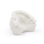 Kép 4/4 - HARZ Labs Dental Model Bone Resin - Modell műgyanta [Csont színű] - 1 kg